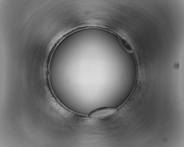X0000113351136200909291048