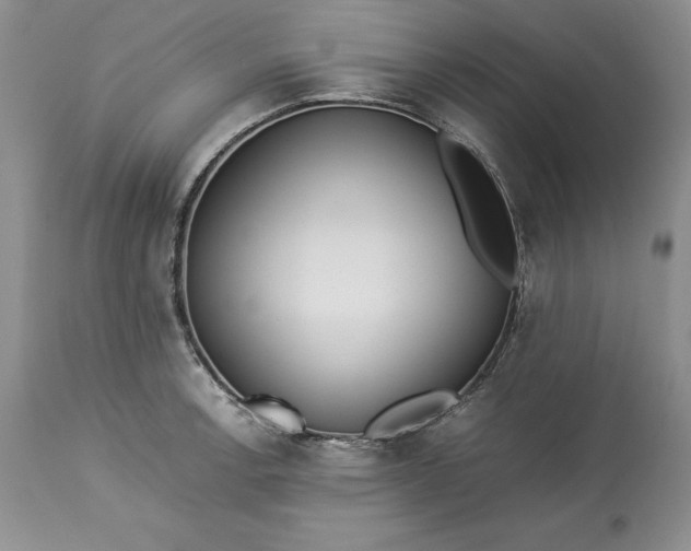 X0000113351138200909291048