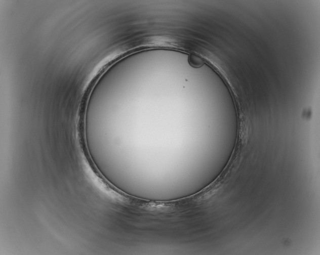 X0000113351139200909291048