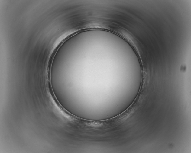 X0000113351141200909291048