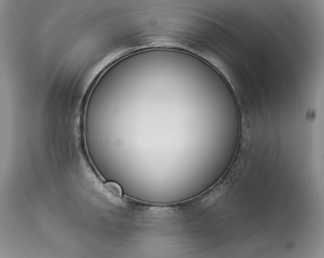 X0000113351142200909291048
