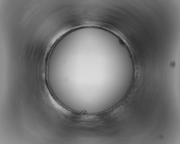 X0000113351143200909291048