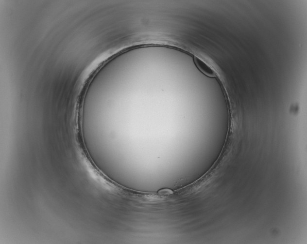 X0000113351144200909291048