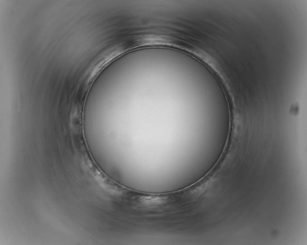 X0000113351145200909291048