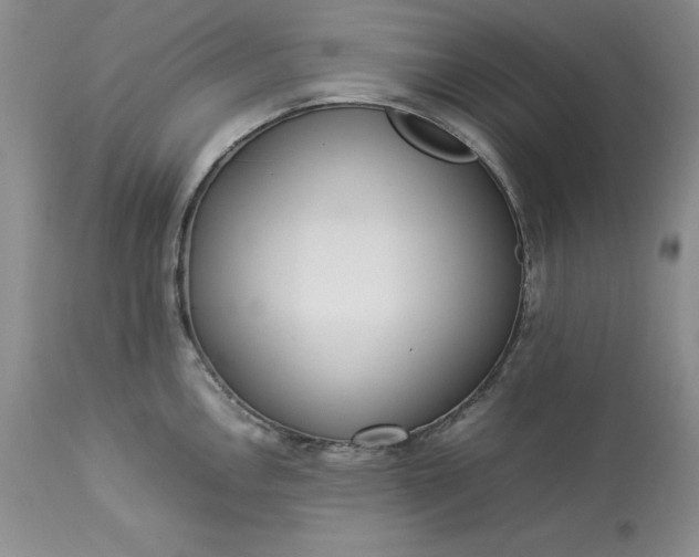 X0000113351146200909291048