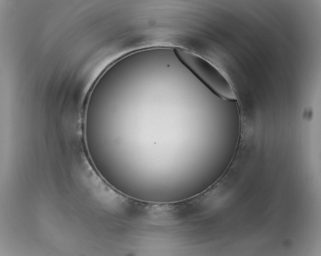 X0000113351148200909291048