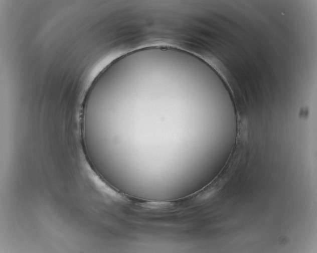 X0000113351151200909291048