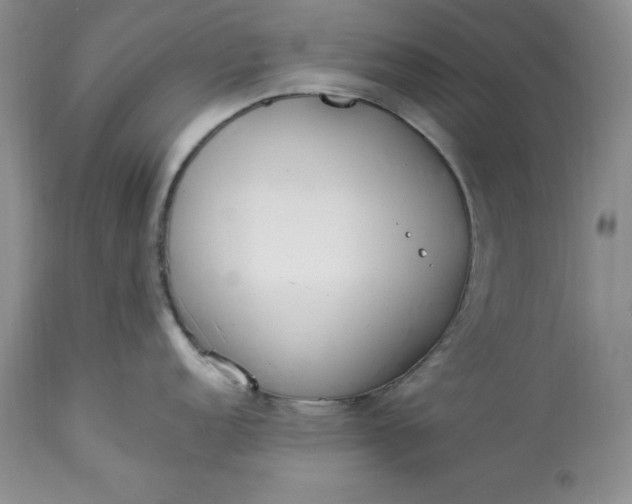 X0000113351152200909291048