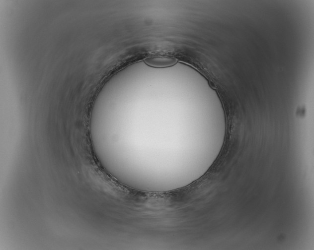 X0000113351153200909291048
