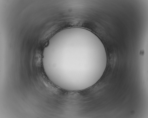 X0000113351154200909291048