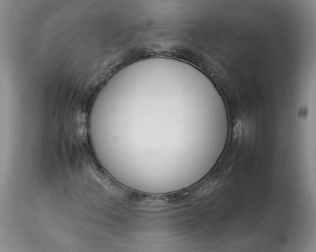 X0000113351156200909291048