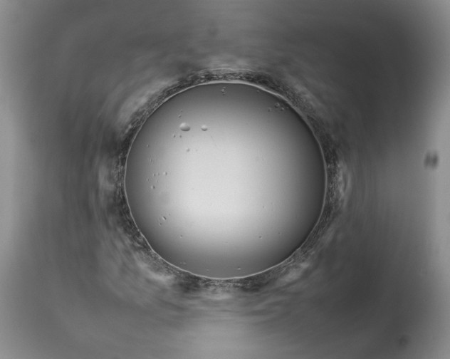 X0000113351157200909291048
