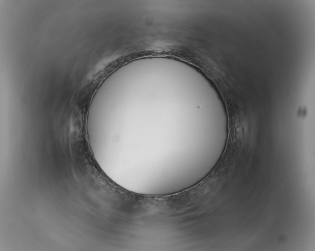 X0000113351158200909291048