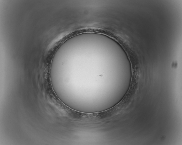 X0000113351159200909291048