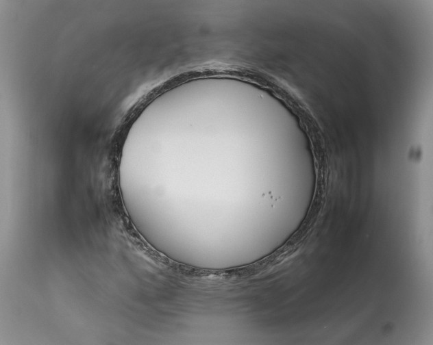 X0000113351160200909291048