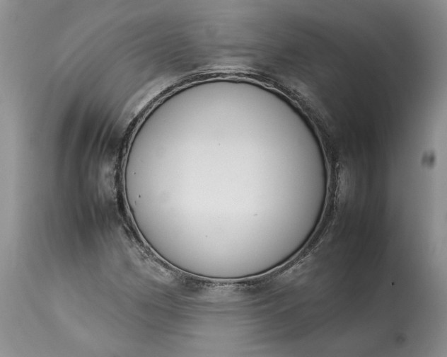 X0000113351162200909291048