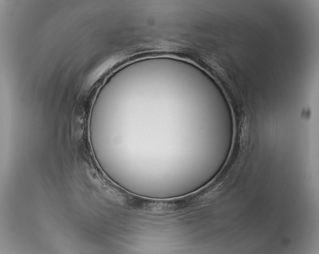 X0000113351163200909291048