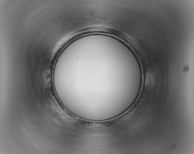 X0000113351164200909291048