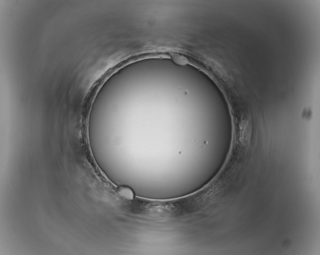 X0000113351165200909291047