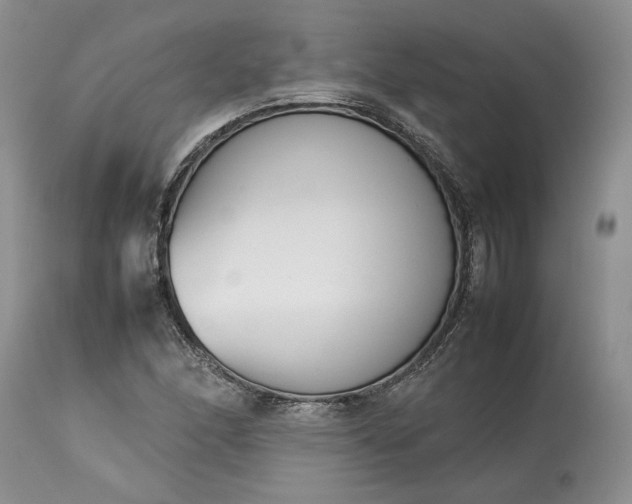 X0000113351166200909291047