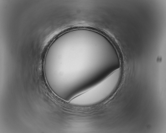 X0000113351167200909291047