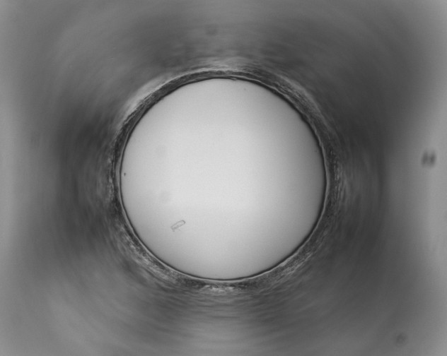 X0000113351168200909291047