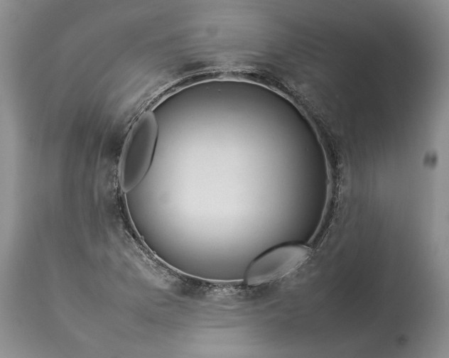 X0000113351169200909291047