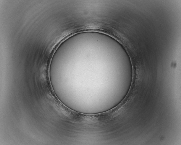 X0000113351170200909291047