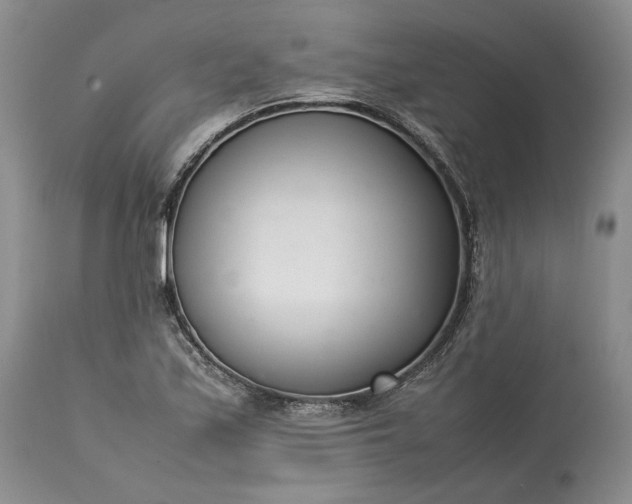 X0000113351171200909291047