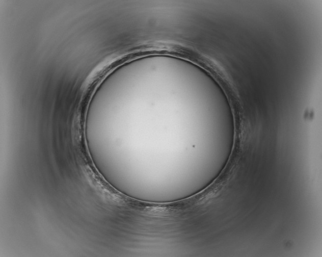 X0000113351172200909291047