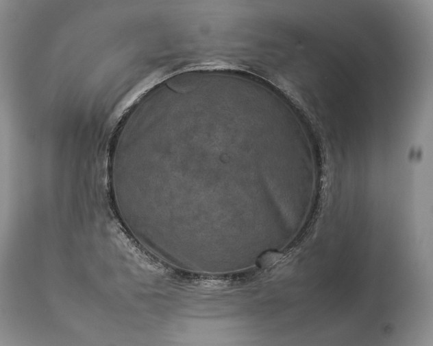 X0000113351173200909291047