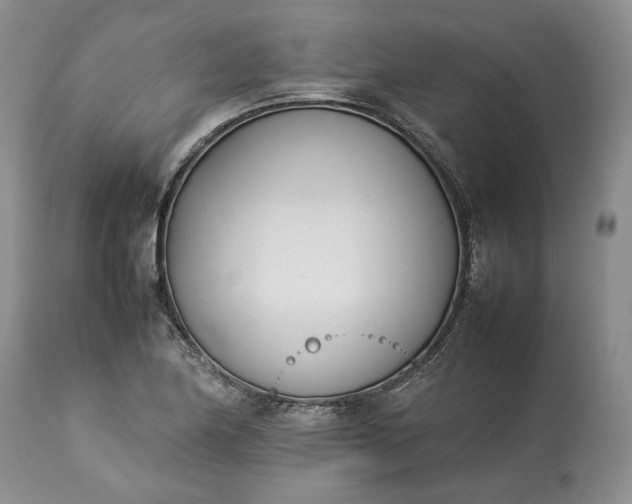 X0000113351174200909291047