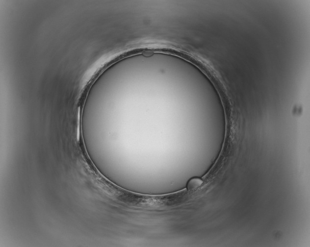 X0000113351175200909291047