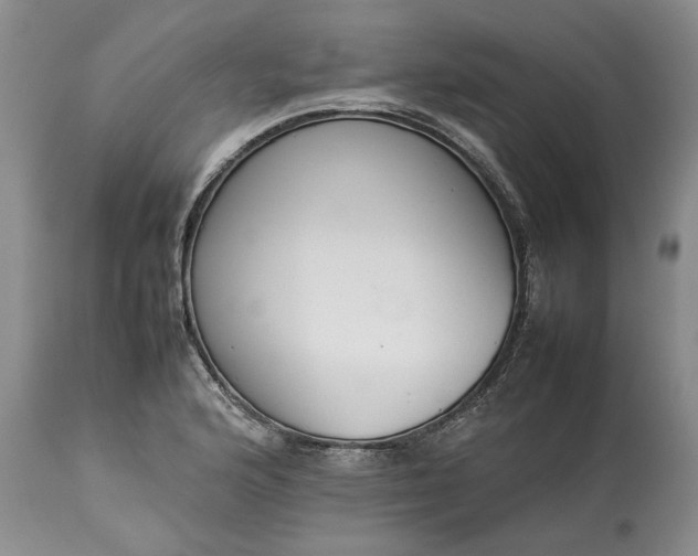 X0000113351176200909291047