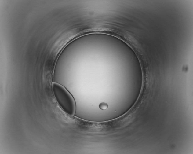 X0000113351177200909291047