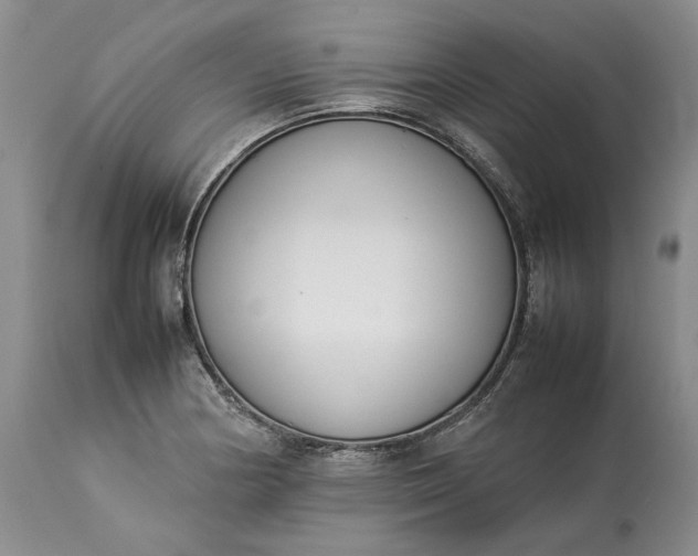 X0000113351178200909291047