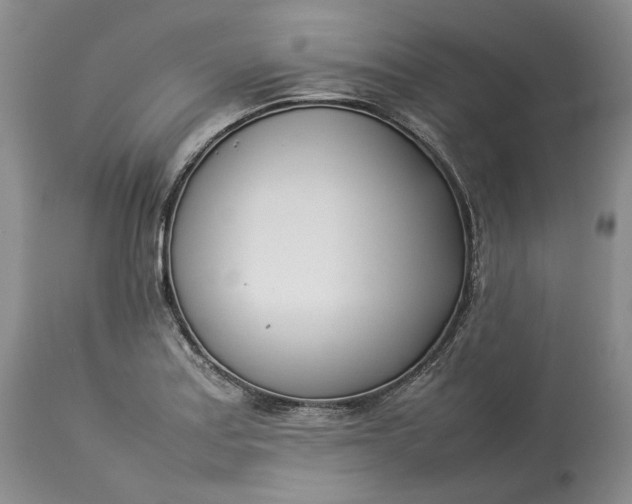 X0000113351179200909291047