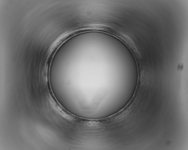 X0000113351180200909291047