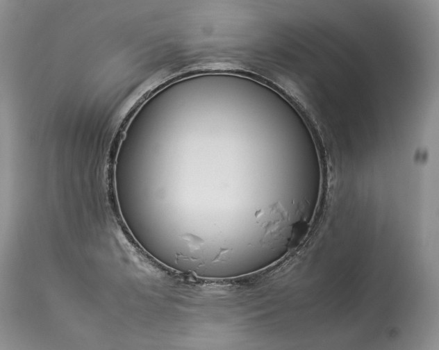 X0000113351181200909291047