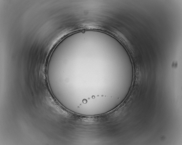 X0000113351182200909291047