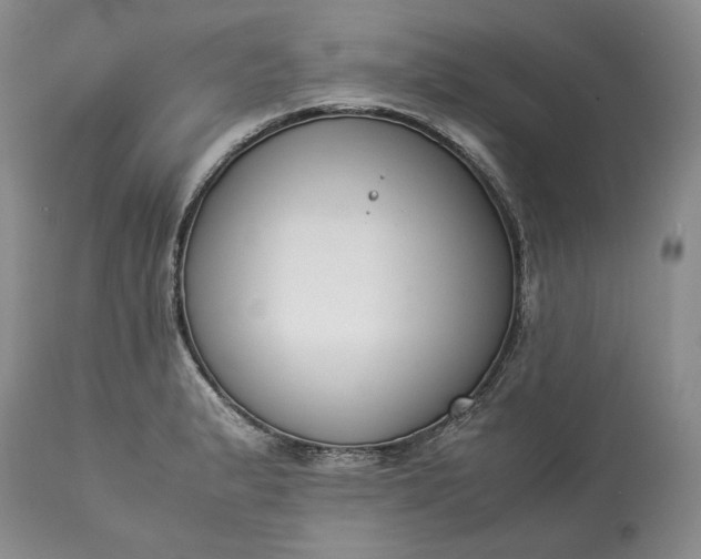X0000113351183200909291047