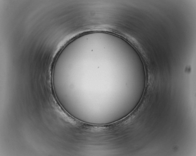 X0000113351184200909291047