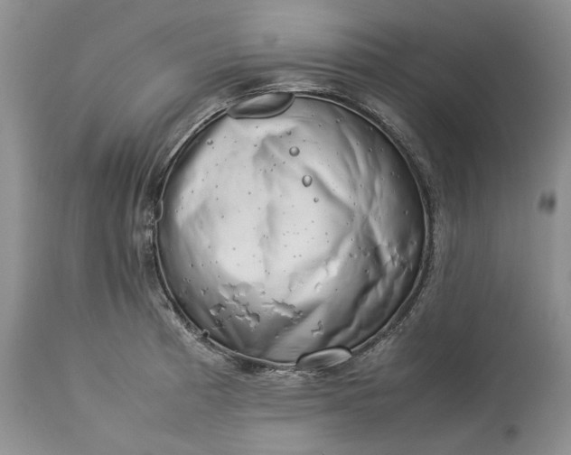 X0000113351185200909291047
