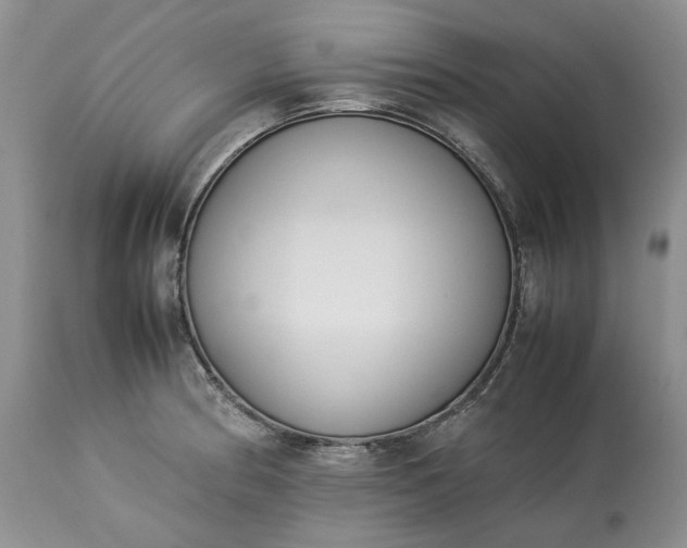 X0000113351186200909291047