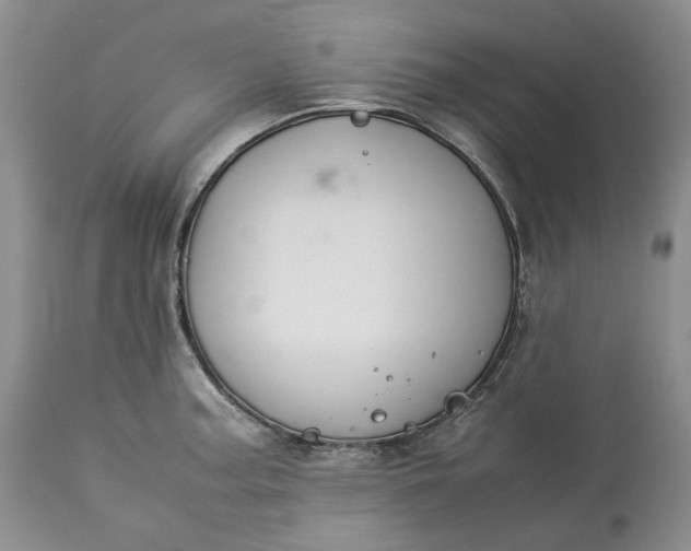X0000113351187200909291047