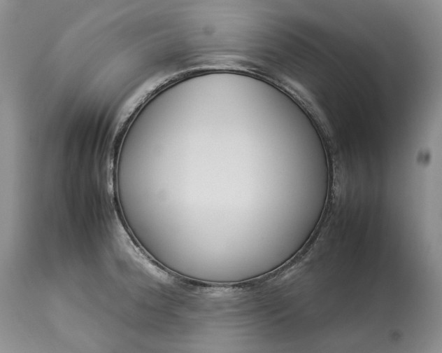 X0000113351188200909291047