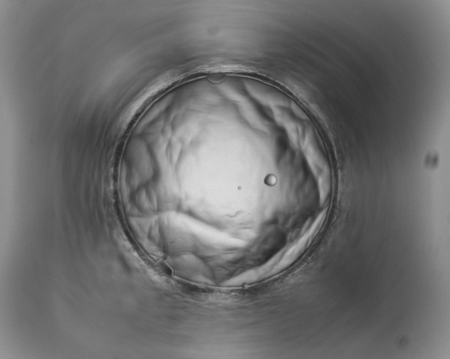 X0000113351189200909291047