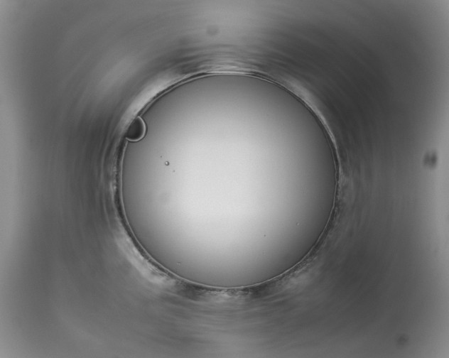 X0000113351195200909291047