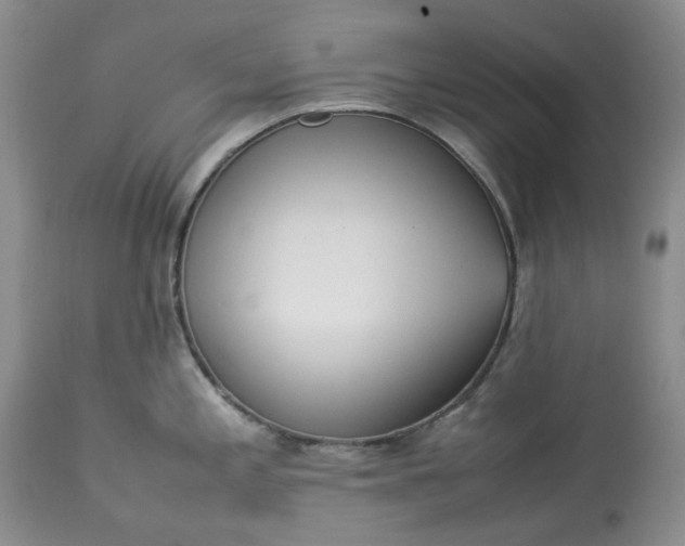 X0000113351197200909291047