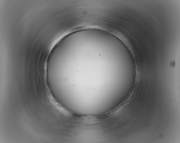 X0000113351198200909291047